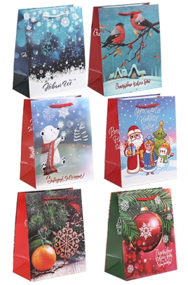 12/XA26.1 Сумка-пакет бум. средн.- нов.год микс 12/бл